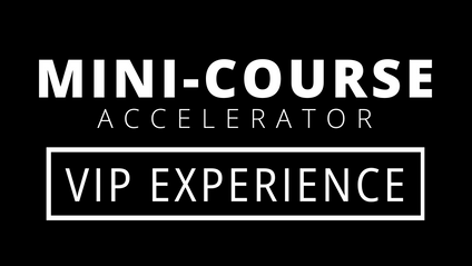 Product image for Mini-Course Accelerator VIP Experience