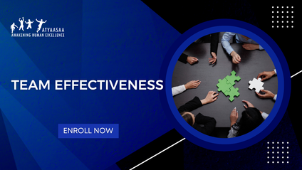 Product image for Team Effectiveness