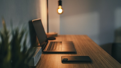 Product image for Empower Your Work-From-Home Life: Expert Tips for LLC Formation