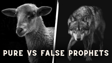 Product image for Pure vs False Prophets