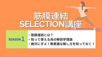 Product image for 《筋膜連結selection！！SEASON1》・筋膜連結とは？ ・知って、使えるための解剖学理論 ・絶対にダメ！！無意味な解し方を知っておく
