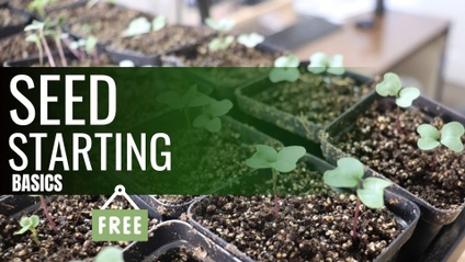 Product image for Seed Starting Basics