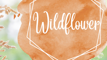 Product image for Wildflower Private Coaching Package
