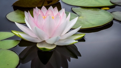Product image for Raising Your frequency & vibration Meditation Series
