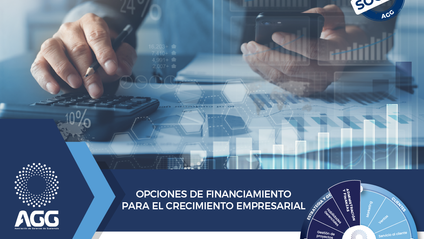 Product image for Opciones de financiamiento para el crecimiento empresarial