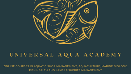 Product image for Comprehensive Retail Training for the Ornamental Fish Industry