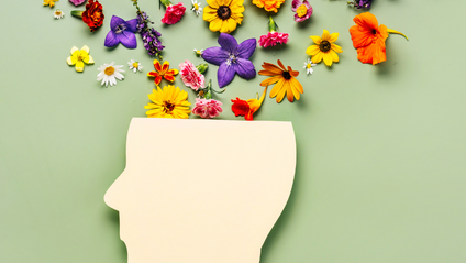 Product image for NeuroMood: Hypnotherapy and the Brain’s Path to Emotional Balance