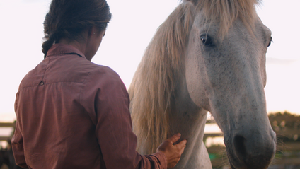 Product image for Masterclass + Foal Training 