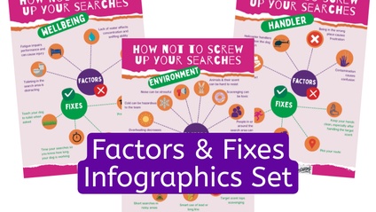 Product image for Factors & Fixes Infographics