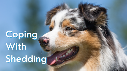 Product image for Coping with Shedding