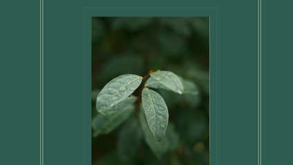 Product image for Cultivating Accountability Workbook