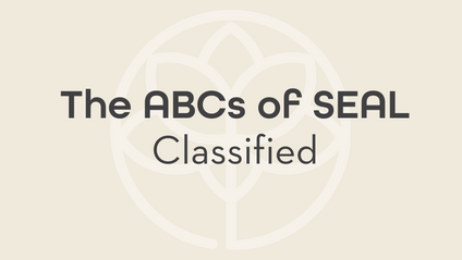 Product image for CLASSIFIED Strengthening S.E.A.L. To Boost The ABCs