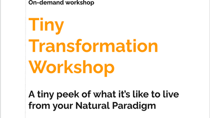Product image for Tiny Transformation Workbook