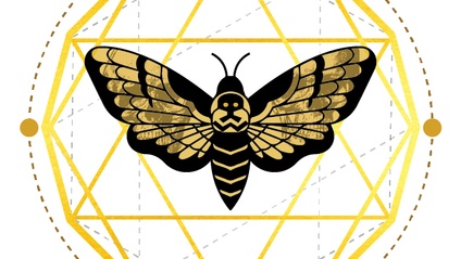 Product image for The Anam Cara Academy Self Study Course
