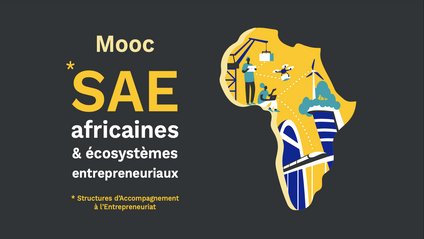 Product image for MOOC SAE Africaines