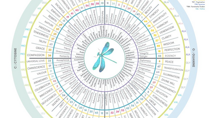 Product image for Wheel of the Year 3 - Gene Keys