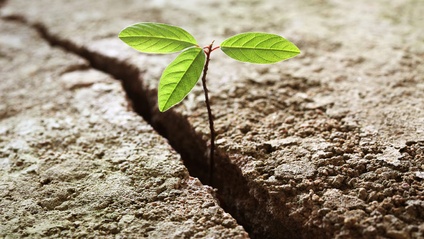 Product image for Resilience Mental Health and Stress Management