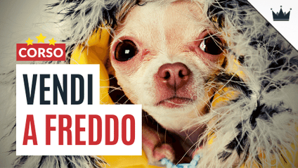 Product image for VENDI CON LE EMAIL A FREDDO: corso su automazioni avanzate