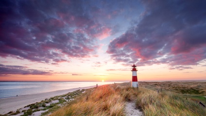 Product image for The Lighthouse