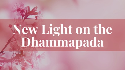Product image for A New Light on the Dhammapada