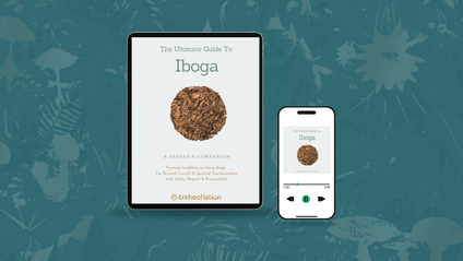 Product image for  Bundle - Healing with Iboga