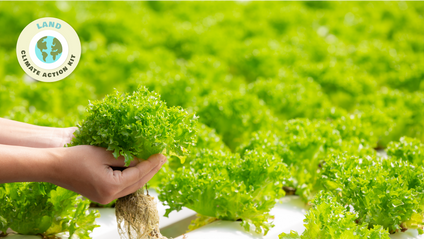 Product image for Agriculture avancée
