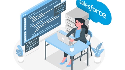 Product image for Salesforce Developer and Admin Course bundle