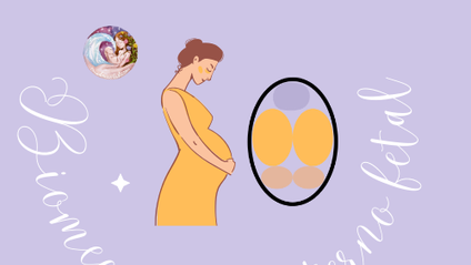 Product image for Biomecánica materno-fetal intraparto GRABADO 