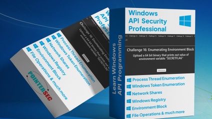 Product image for Windows Api Security Professional (WASP)