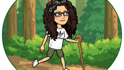Product image for Camp Connection
