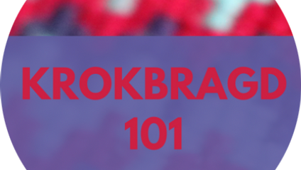 Product image for Krokbragd 101