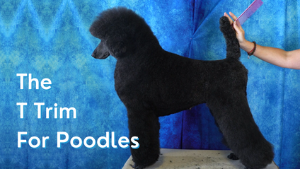 Product image for The T Trim for Poodles