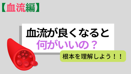 Product image for ゲスト講師：柔道整復師/古田大祐先生 【血流】