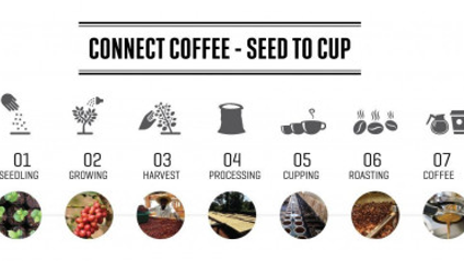 Product image for Seed to Cup Fundamentals (EN) Public