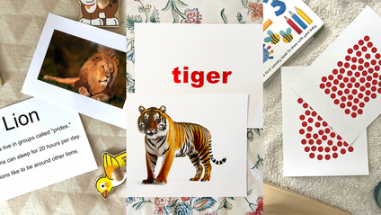 Product image for Free Downloadable Glenn Doman Flash Cards!