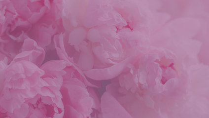 Product image for embodied feminine leadership