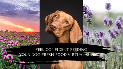 Product image for Fresh Food Virtual Support