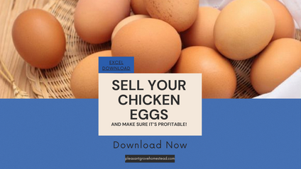 Product image for Egg Pricing Calculator for sustainable egg sales