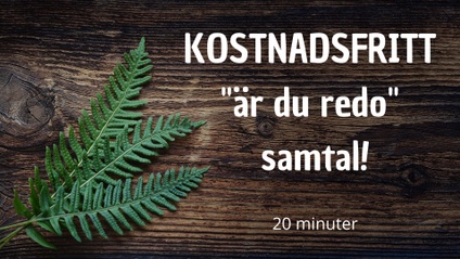 Product image for Är du redo-samtal