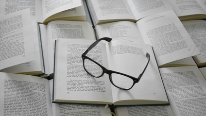 Product image for Evaluating Scholarly Literature for the Health Sciences