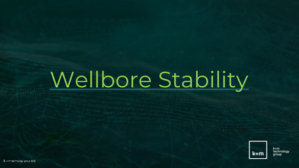 Product image for Individual Modules: Wellbore Stability