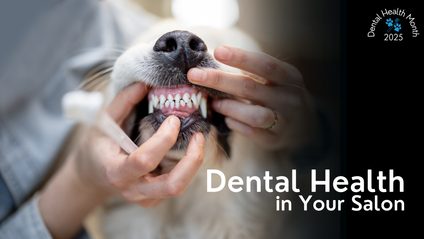Product image for Dental Health in Your Salon - Dental Health Month 2025