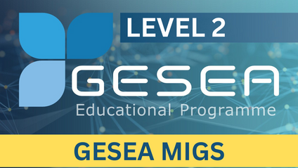 Product image for *NEW GESEA E-Learning - Level 2