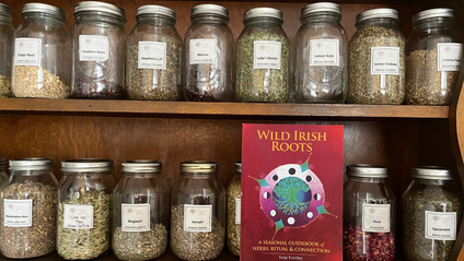 Product image for Wild Irish Roots