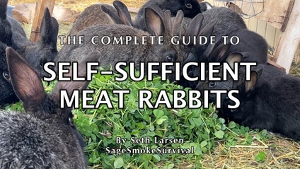 Product image for The Complete Guide to Self-Sufficient Meat Rabbits 