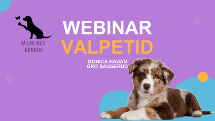 Product image for WEBINAR - VALPETID