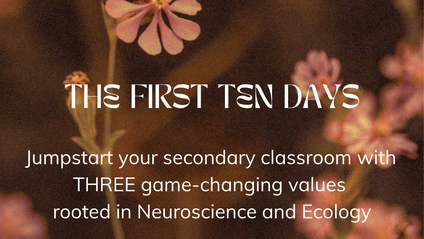 Product image for The First 10 Days:  Jumpstart your secondary classroom with values rooted in Neuroscience, Ecology, and SEL