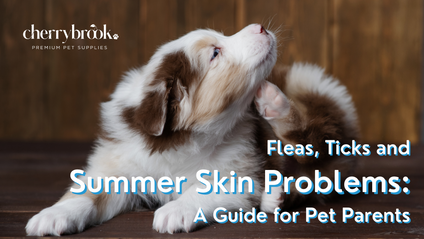 Product image for Fleas, Ticks & Summer Skin Problems: A Guide for Pet Parents