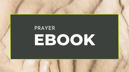 Product image for A Beginner's Reference Ebook