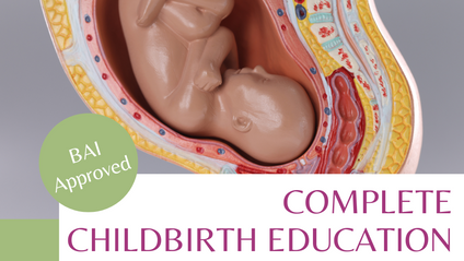Product image for Complete Childbirth Education